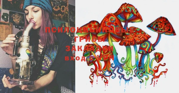 стаф Покачи