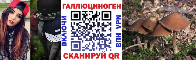 Купить закладки  Кострома  Псилоцибиновые грибы GOLDEN TEACHER 