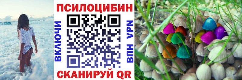 Псилоцибиновые грибы прущие грибы Кострома