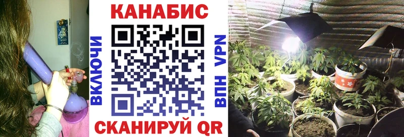 Каннабис AK-47  Купить закладки  Кострома 